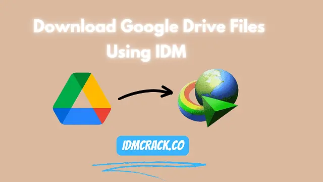 Download Google Drive File Using IDM Logo