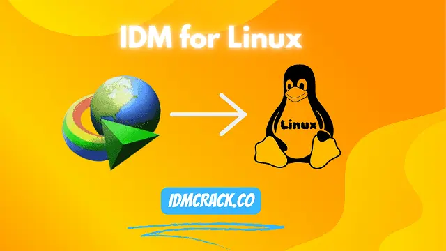 IDM for Linux Logo